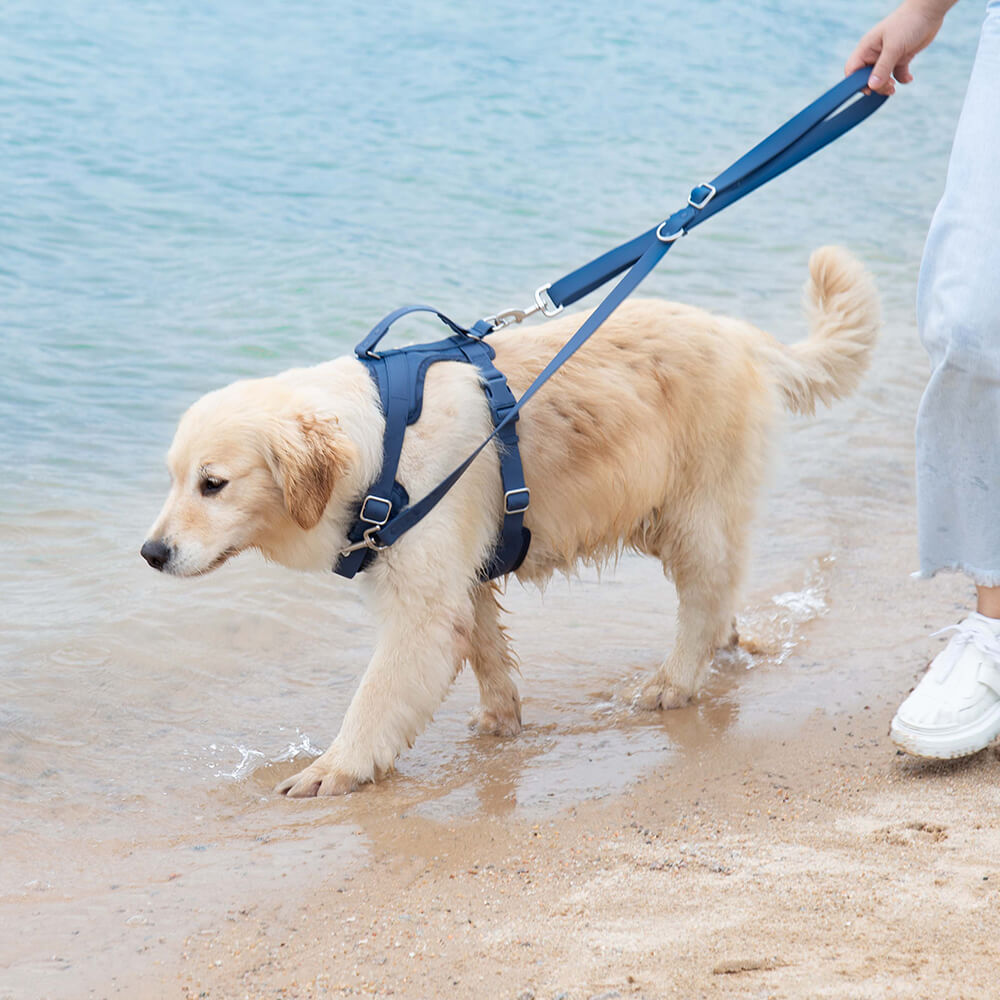 Gummy Walking Dog Leash