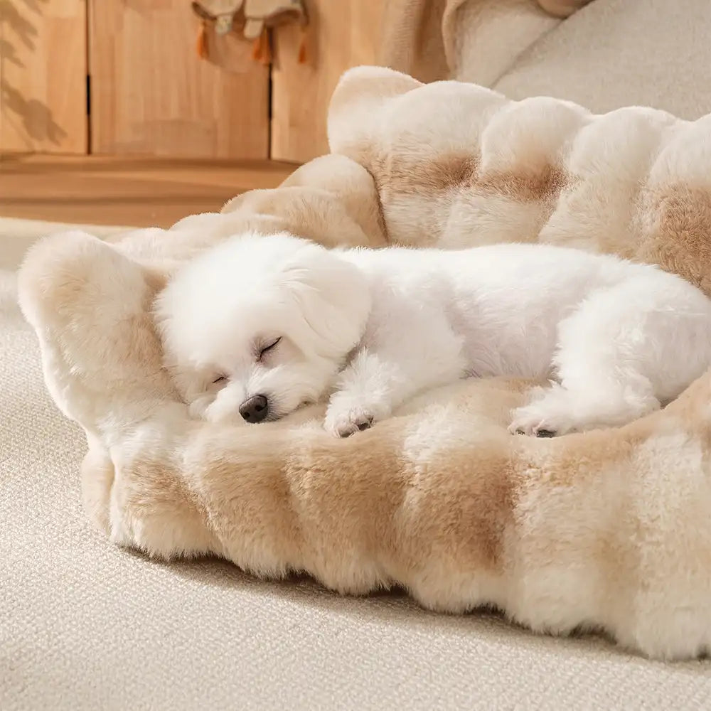 Tie-Dye Color Fluffy Plush Lazy Comfortable Dog & Cat Sofa Bed