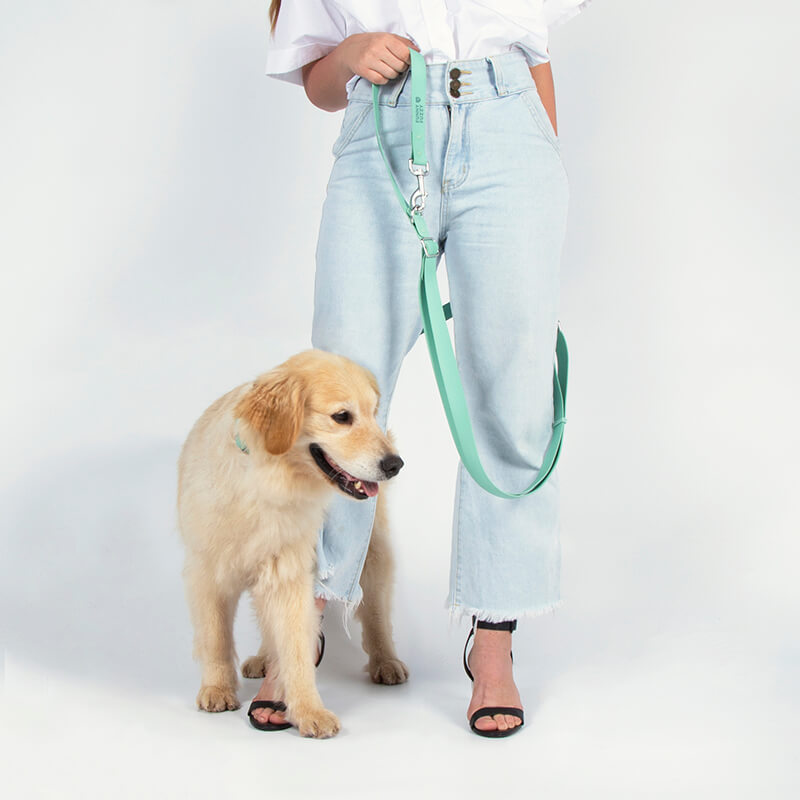 Gummy Walking Dog Leash